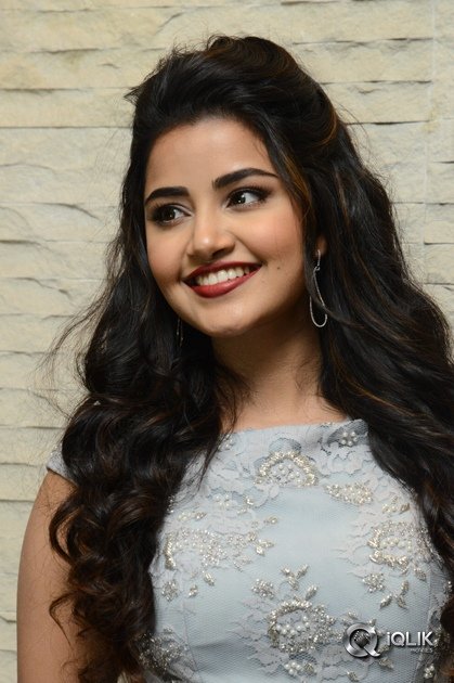 Anupama-Parameswaran-At-Vunnadhi-Okate-Zindagi-Movie-Pre-Release-Function
